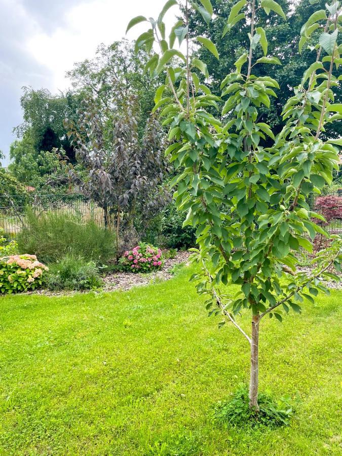 Ferienwohnung Kamrath Mit Wunderschoenem Ausblick Нойрупин Екстериор снимка