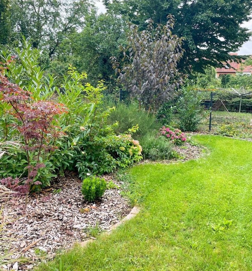 Ferienwohnung Kamrath Mit Wunderschoenem Ausblick Нойрупин Екстериор снимка